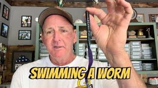 When Swimming A Worm Catches Big Bass In The Summer…