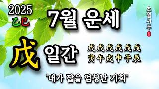[7월운세] 무(戊) 일간 '내가 잡을 엄청난 기회!'
