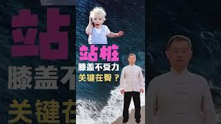 【史楍酼】站桩膝盖不受力关键在臀？ #养生 #站桩 #zhanzhuang