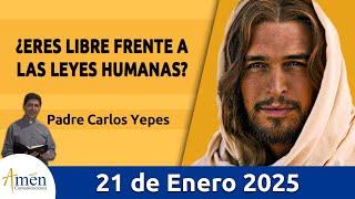 Evangelio De Hoy Martes 21 de Enero 2025 #PadreCarlosYepes l San Marcos 2,23-28 l Misa