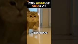 딸이 무서웠던 아빠냐옹이
