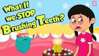 What If We Stop Brushing Teeth? | Why Do We BRUSH TEETH? | Dr Binocs Show | Peekaboo Kidz