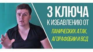3 Ключа К Избавлению От Панических Атак, Агорафобии и ВСД | Павел Федоренко