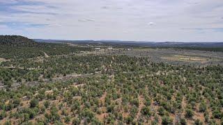 New Mexico Land For Sale: 2.5 & 5 Acres By Navajo Marina – Only $8,000 & $15,000!!!