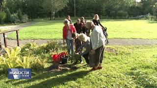 Новости Псков 02.09.2019 / В Центре лечебной педагогики в День знаний посадили деревья