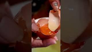 Masala Lab | Eggs/ Tofu/ Paneer - Healthier Protein @krishashok