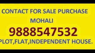 5 marla house plot in mohali for sale 9888547532 residential property in sector 80