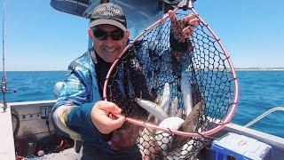 Epic Days Fishing for King George Whiting Catch n cook for Christmas