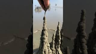 California Dreaming #oddlysatisfying #beach #sandcastle #satisfying #nature #california