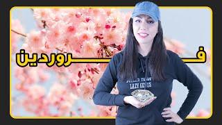 استرولوژی   فروردین: فروردین و فروردینی‌ها  #فکت #دانستنی #علم  