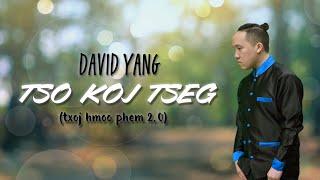 David Yang  - Tso Koj Tseg (Txoj Hmoo Phem 2.0)