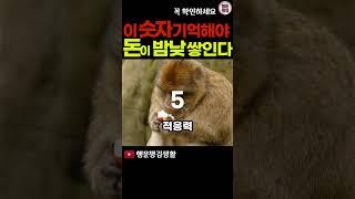 2024년 12가지 띠별로 대박터지는 숫자