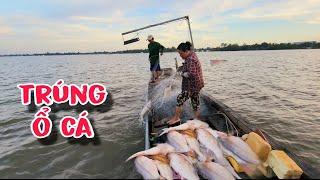 Trúng Bầy Cá Sủ Lớn Nhất Từ Trước Tới Nay | #66TV #fishing