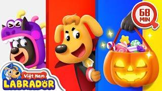  Cảnh sát trưởng tham gia lễ hội Halloween  Cảnh sát trưởng Labrador Vietnam 