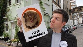 Ugly animal vote - British bats (Simon Watt)