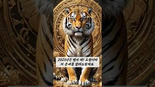 2025년 호랑이띠 운세 #띠별운세 #운세 #연말운세 #2025년운세