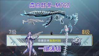 黑猫军械库之满级森白骸骨-M762&塔罗牌新金装体验