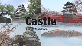 Castle | 구마모토, 히로사키, 오사카, 다케다