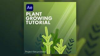 Plant Growing Animation · Easy After Effects Tutorial