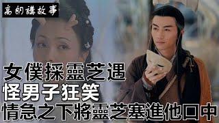 民間故事：女僕採靈芝遇怪男子狂笑，情急之下將靈芝塞進他口中！｜高朗講故事