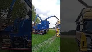 Short #Nowy Rębak Bruks️