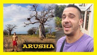 A Day in the Life. Arusha TANZANIA. Baobabs, Hot Springs and Omelets