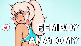 Femboy Anatomy