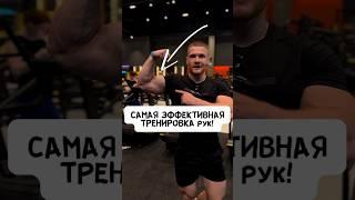 САМАЯ ЭФФЕКТИВНАЯ ТРЕНИРОВКА РУК