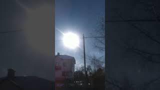 14.30 Грядущий Царь Царей и Лукаморье дуб вечнозелёный с листьями и золотой столб АЗ