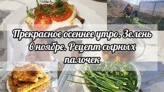 ВЛОГ ВКУСНЫЙ ОСЕННИЙ ЧАЙ️ДЕЛА ОГОРОДНЫЕ В НОЯБРЕ️РЕЦЕПТ СЫРНЫХ ПАЛОЧЕК 