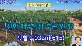 NO.625번. 진하 해수욕장 부근 싼땅, 텃밭 2,032㎡ (615) 전원주택지,카페용지,펜션용지