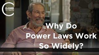 Geoffrey West - Why Do Power Laws Work So Widely?