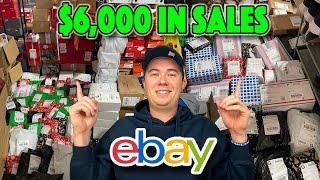 I Made Over $6K in 2 Days Reselling on eBay! What Sold?