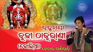 BUDHI THAKURANI || Dholia || KEDARA PANIGRAHI