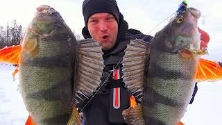 НЕ ВЕРЮ! ТОННЫ РЫБЫ ИДУТ ВАЛОМ! ЛОМАЕМ УДОЧКИ, РВЁМ ЛЕСКИ и ПОВОДКИ! ЭТО ВУЛКАНЫ ЭВЕНКИИ!