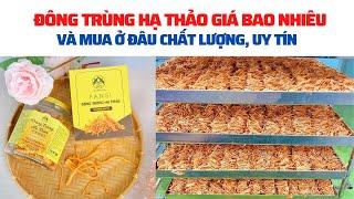 ĐÔNG TRÙNG HẠ THẢO GIÁ BAO NHIÊU VÀ MUA Ở ĐÂU CHẤT LƯỢNG UY TÍN