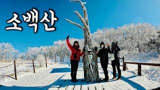 [Hiking] 충북 단양 소백산 등산 | 2024년 마지막날 엄마에게 하얀 눈꽃 핀 설산을 선물해 드렸어요  | 천동 코스 | 소백산 국립공원 | 산림청 100대명산