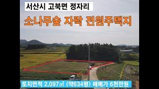 서산시 소나무숲 자락 전원주택지 6천만원 토지면적 2,097㎡ (약634평) 은퇴후 전원생활용지 강추천 고북면 정자리 서산부동산 서산토지