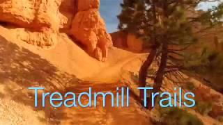 Treadmill Trails®: The Official App