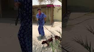 Cute Pets Brothers #2022 #shorts #positivevibes  #shortsfeed #youtubeshorts #trending #morningenergy