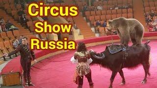 Circus show Russia