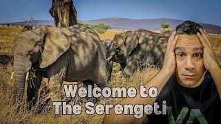 Going to Africa Wildest Adventure Serengeti Tanzania