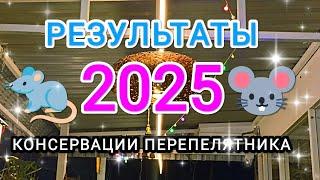 Результаты консервации перепелятника' 2025 #перепела #перепелки #борьба #грызуны #консервация #мышь