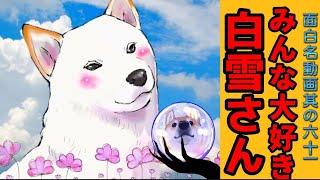 【世界の終わりに柴犬と】切り抜き編集 # 61 《白雪さん集め。》  #世界の終わりに柴犬と  #アニメ  #柴犬