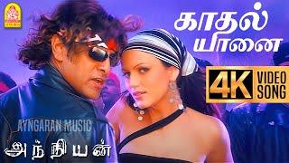 Kadhal Yaanai - 4K Video Song | காதல் யானை | Anniyan | Vikram | Shankar | Harris Jayaraj | Ayngaran