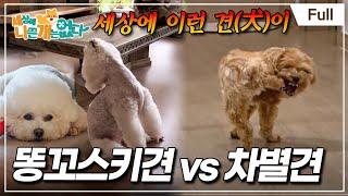 [Full] 세상에 나쁜 개는 없다 - 세상에 이런 견(犬)이 ‘똥꼬스키’견 vs 차별견