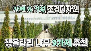 조경 디자이너, 식물 전문가의 조경수 선택 공개합니다!│감성카페 조경, 마당정원 조경