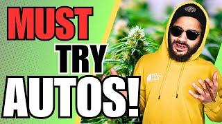 AUTOS that you should try next!! 