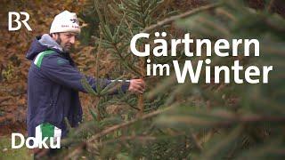 Jetzt geht's los: Bäume pflanzen, gießen, Sonnenschutz - Der Garten im Winter | freizeit | Doku | BR