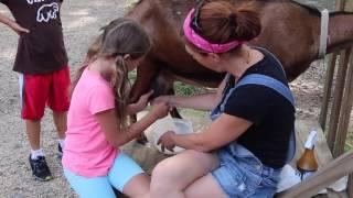 Benner's Farm Summer Camp Week Three